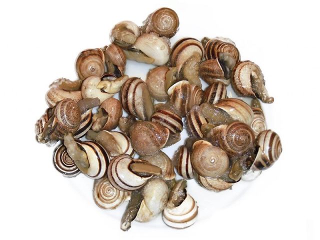 CARACOLES GORDOS 5BX1KG